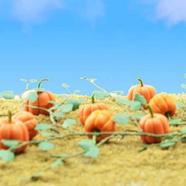 Pumpkins w/Vines